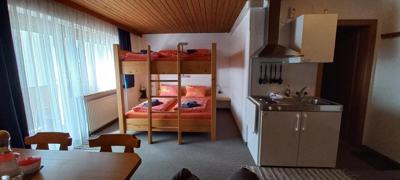 Studio Hochzillertal Mit Sauna & E-Ladestation Apartment Рид им Цилертал Екстериор снимка